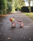 Mushie Mini Toddler Bike with flowers in basket on a tree-lined path in the park.