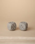 Dice Press Toy