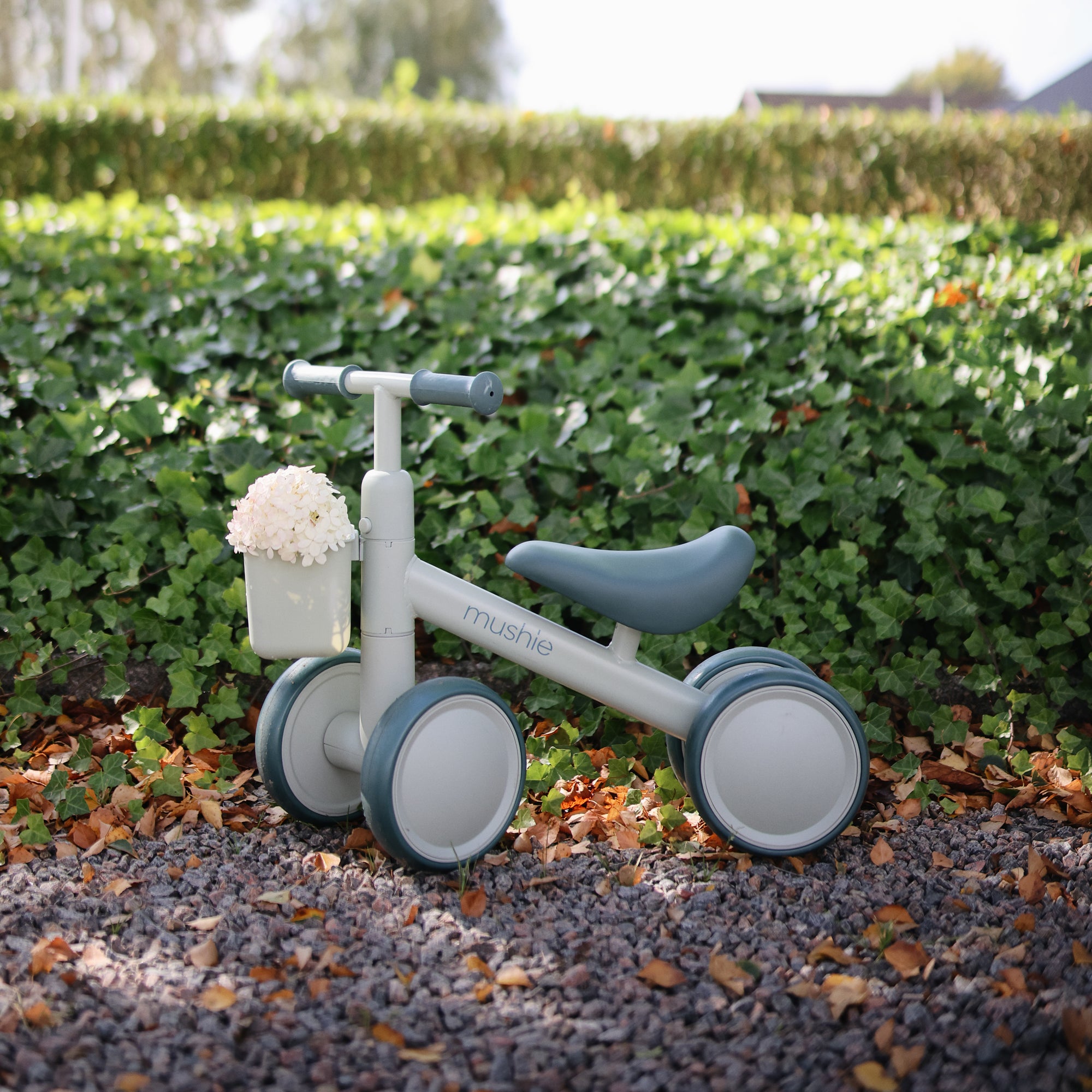 Pale green mushie Mini Toddler Bike with basket of white flowers on gravel by green hedge.
