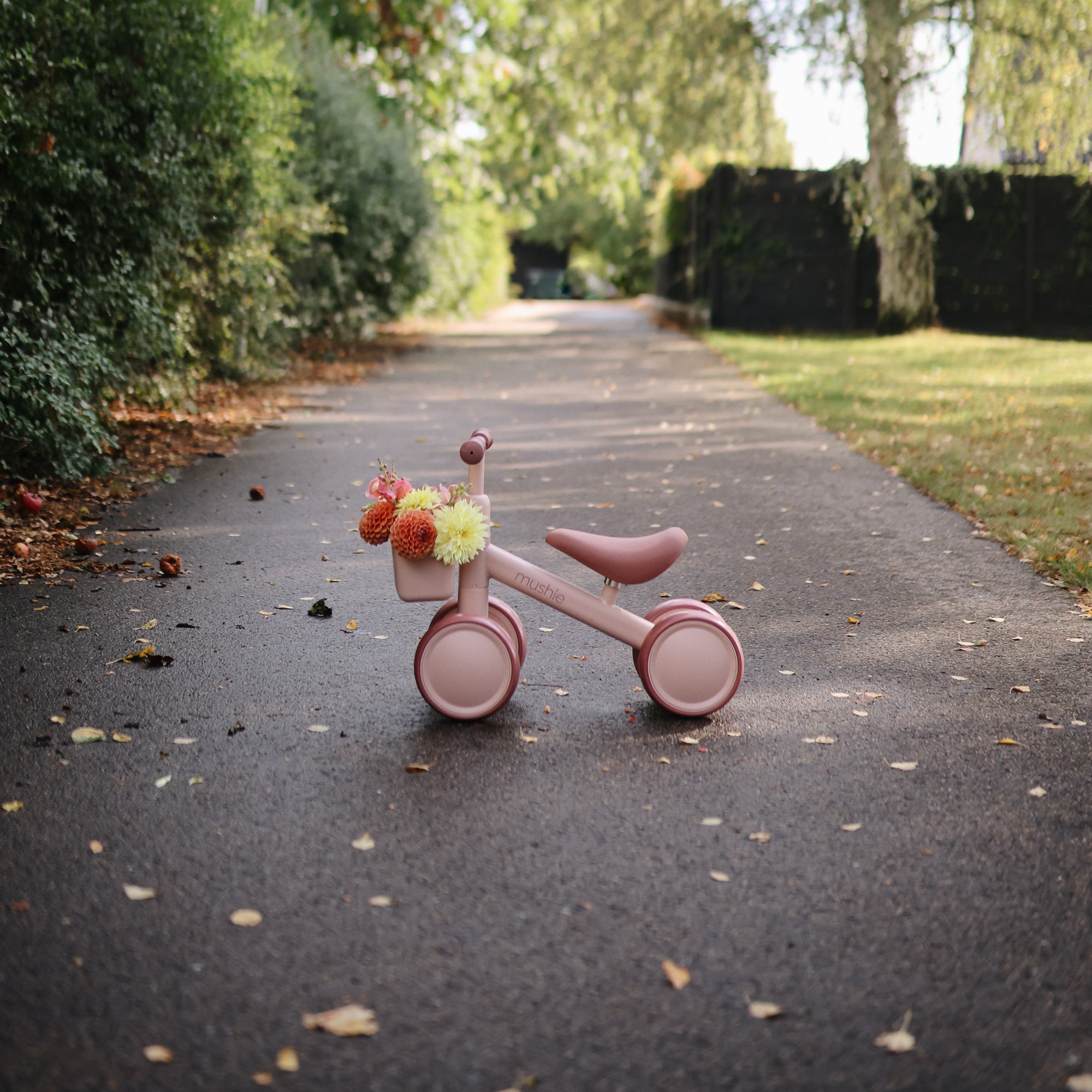Mushie Mini Toddler Bike with flowers in basket on a tree-lined path in the park.