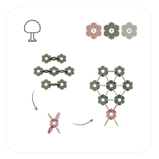 Diagram showing step-by-step assembly instructions for building a tree model using interlocking hexagonal pieces, with numbered pieces shown at the top right and arrows indicating the construction process.