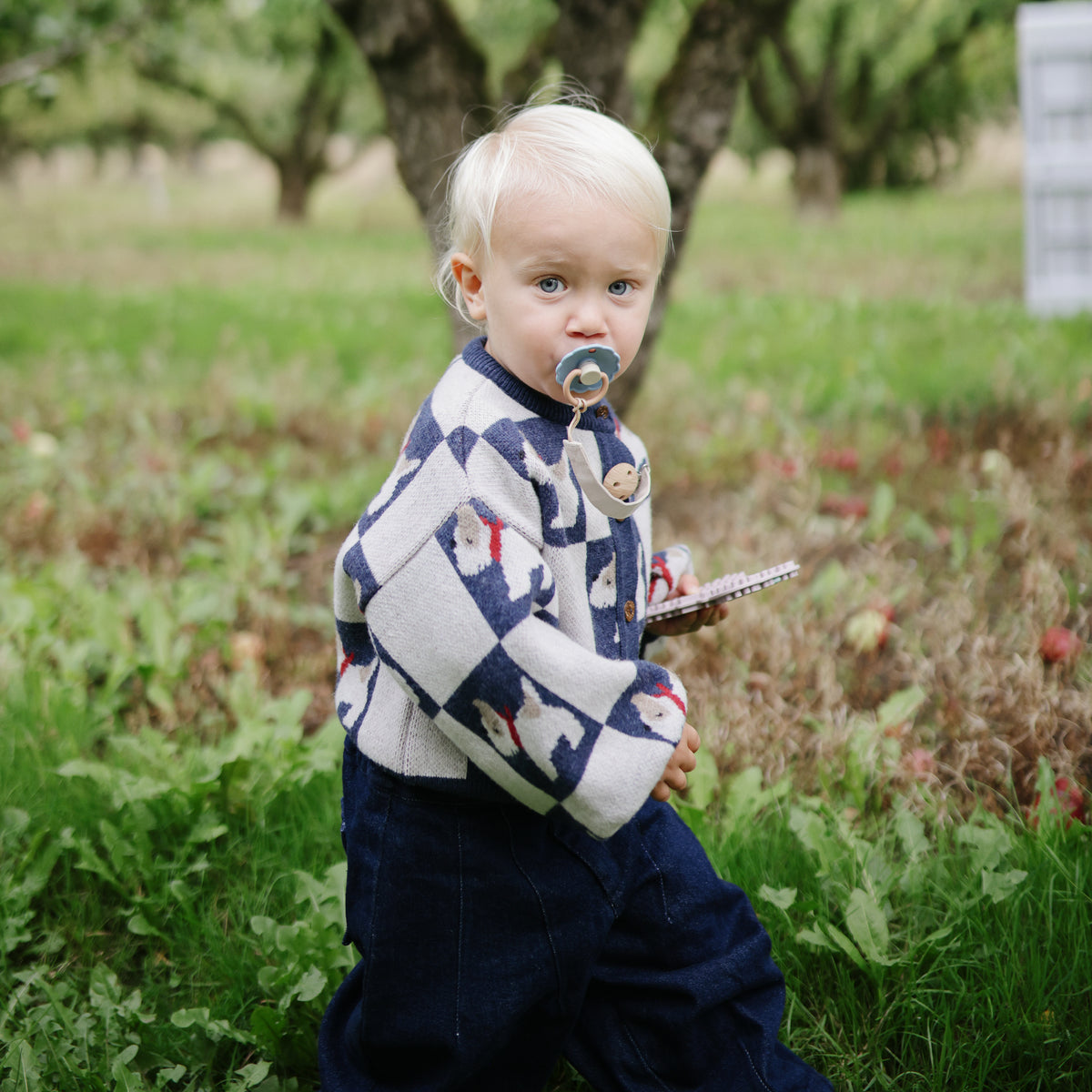 Toddler with FRIGG Daisy pacifier holds a notebook while walking in an orchard.