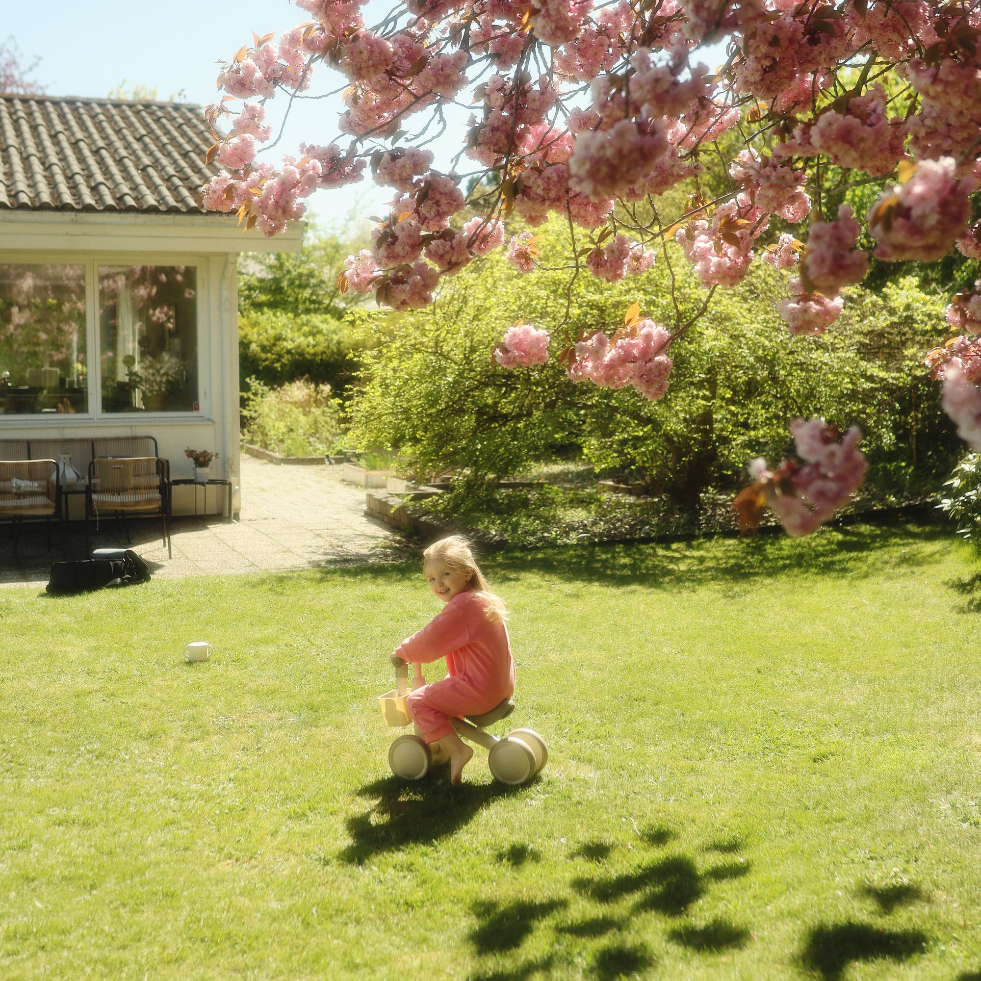 A child rides a mushie Mini Toddler Bike on a sunny lawn under pink cherry blossoms.