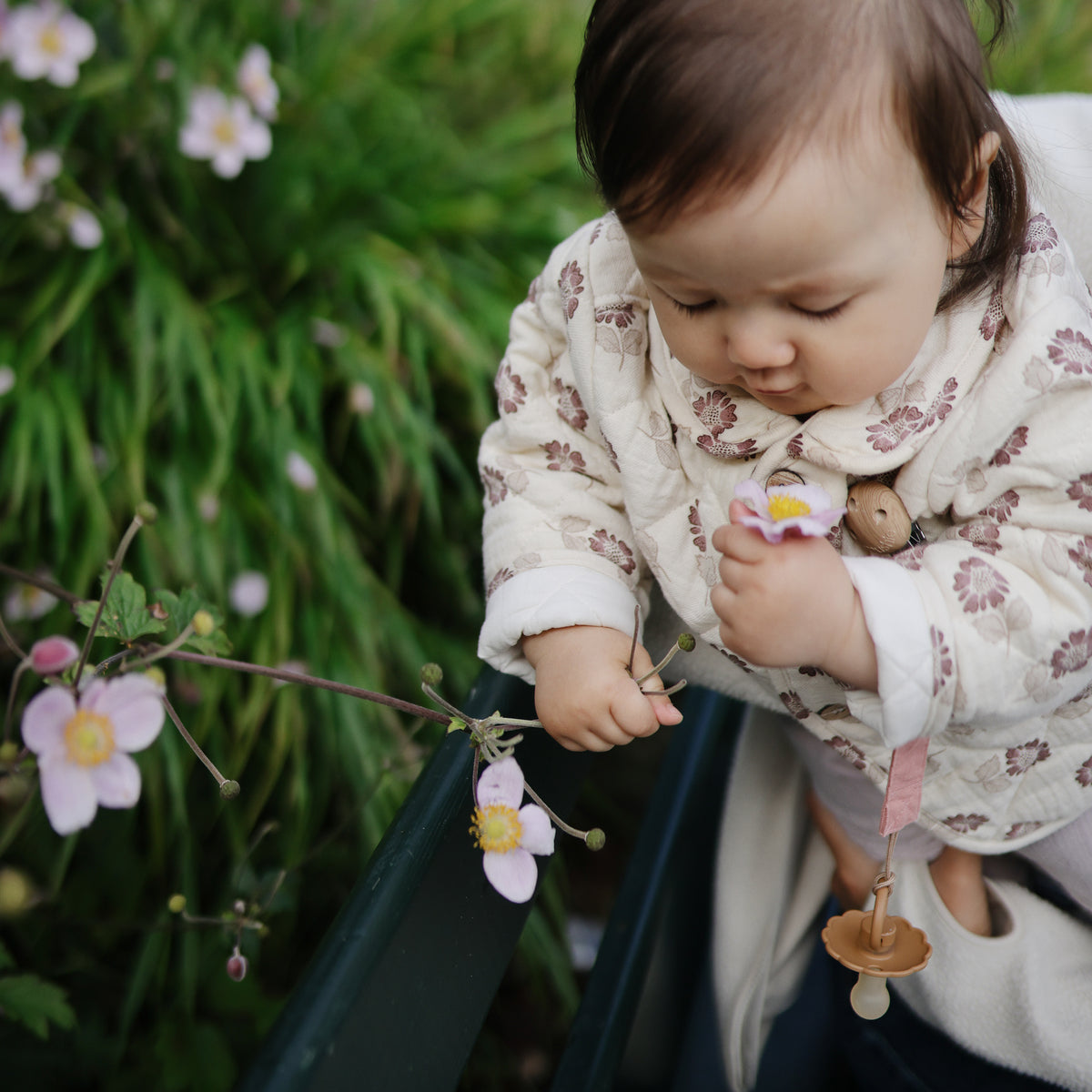 Baby with FRIGG Daisy Pacifier, holding flower by green railing in a garden.