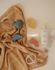 Vehicles Mold Free Bath Play Set