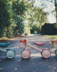 Mini Toddler Bike