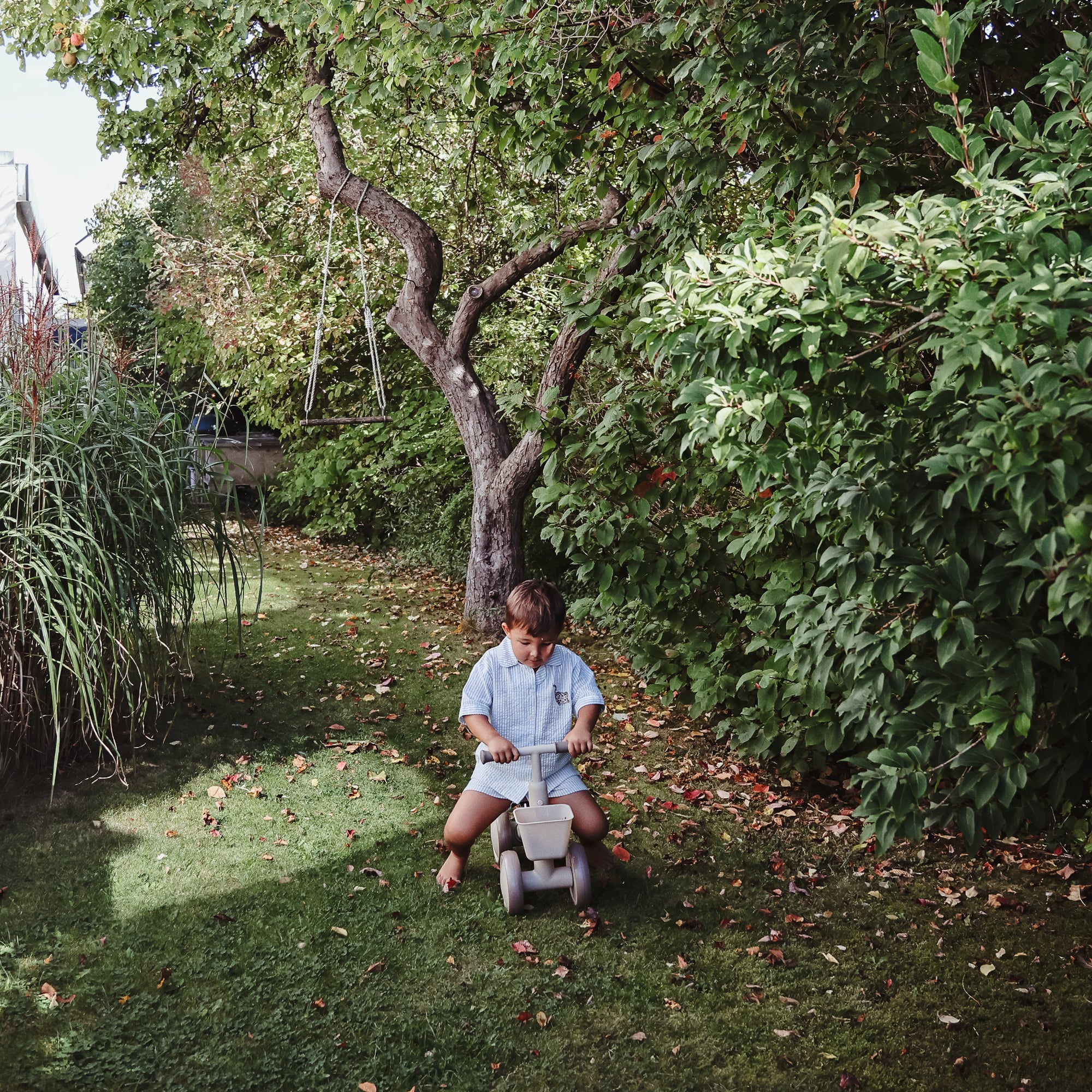 A young boy rides his mushie Mini Toddler Bike on grass under leafy trees in a garden.
